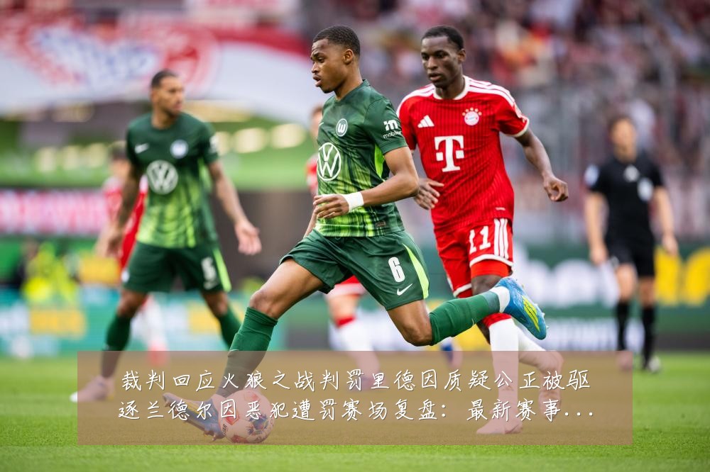 裁判回应火狼之战判罚里德因质疑公正被驱逐兰德尔因恶犯遭罚赛场复盘：最新赛事动态与深度分析